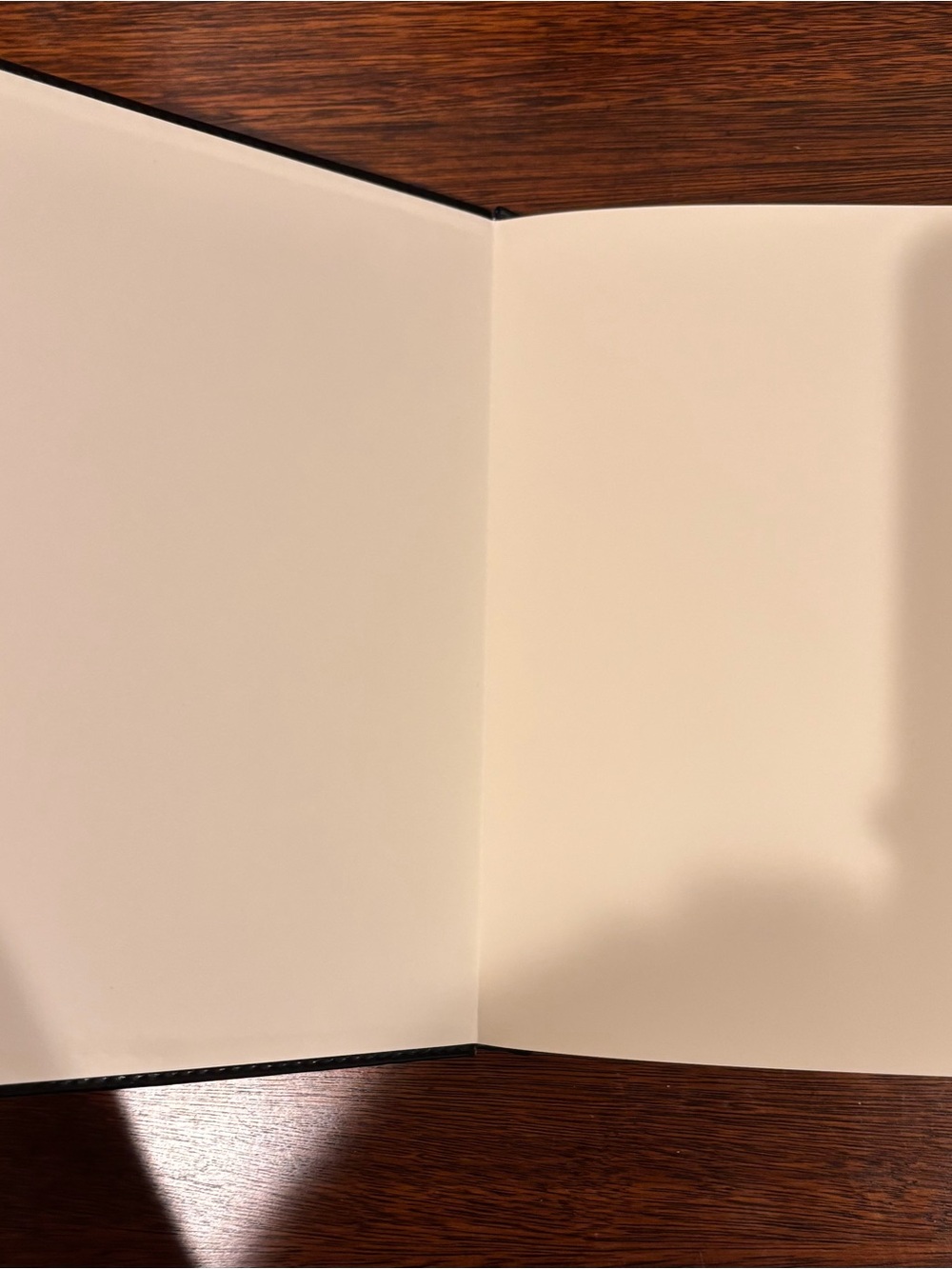 Taylor Swift Fearless Notebook Journal - Picture 5 of 5